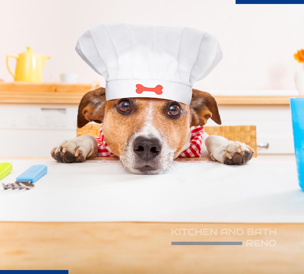 family kitchen with durable flooring for pets and kids