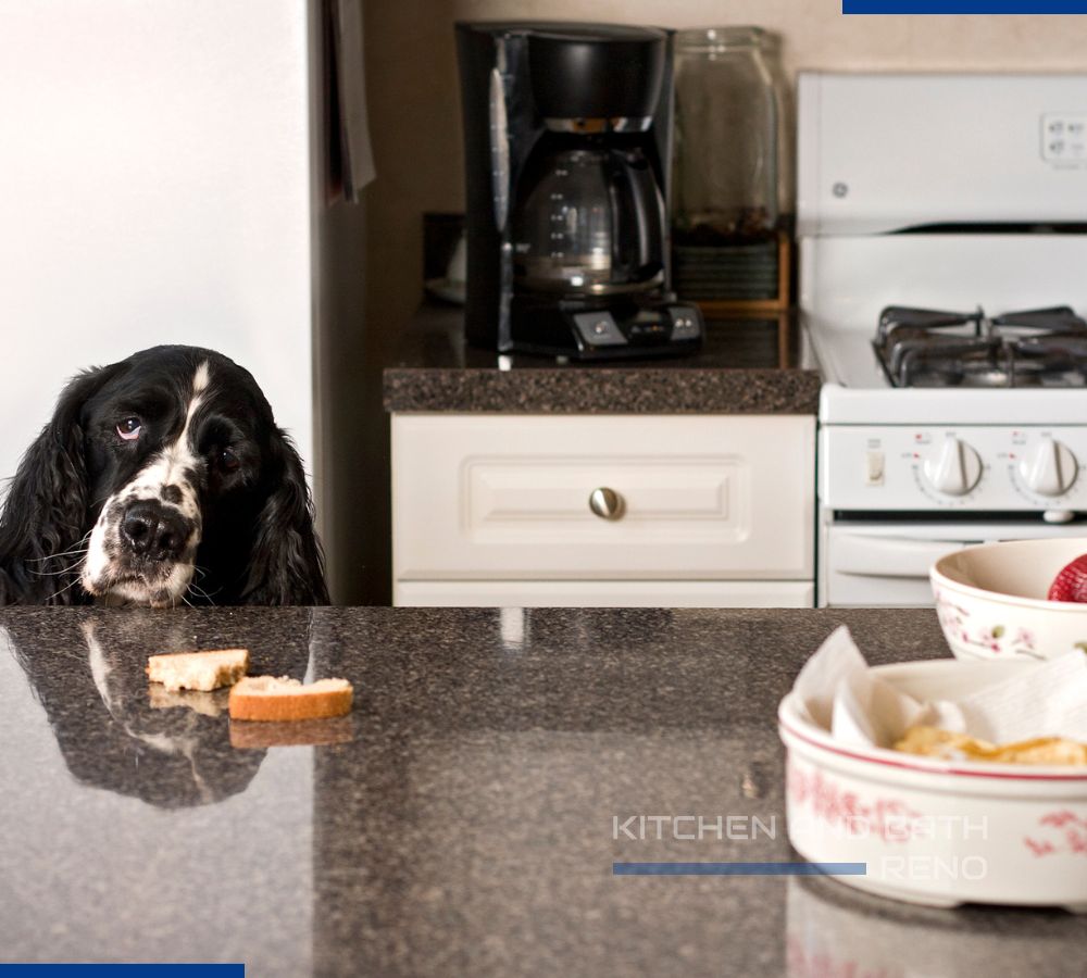 quartz countertop next to pet water station in kitchen