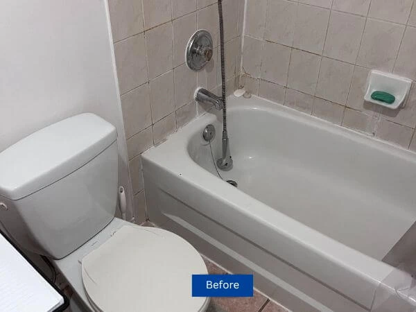 Bathroom shower and vanity before renovation